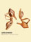 216 EH21 BD DANCE lady's latin dance shoes