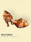 2397 SOUL Dance lady's latin,tango dance shoes