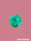 Rose-5
