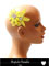 Fleur-Jaune