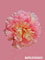 Pivoine-3 Accessoire de cheveux