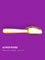 BD DANCE shoes brush
