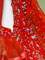 Elyna red ballroom dance dress, in stock size 38/40/42