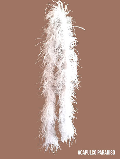 Plume dautruche blanche 6 brins