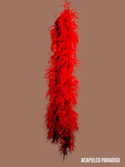 Plume dautruche rouge 6 brins