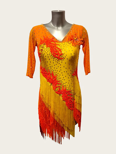 Kinsley latin fringe dance dress size L